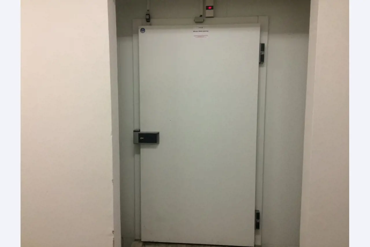 prueba-1